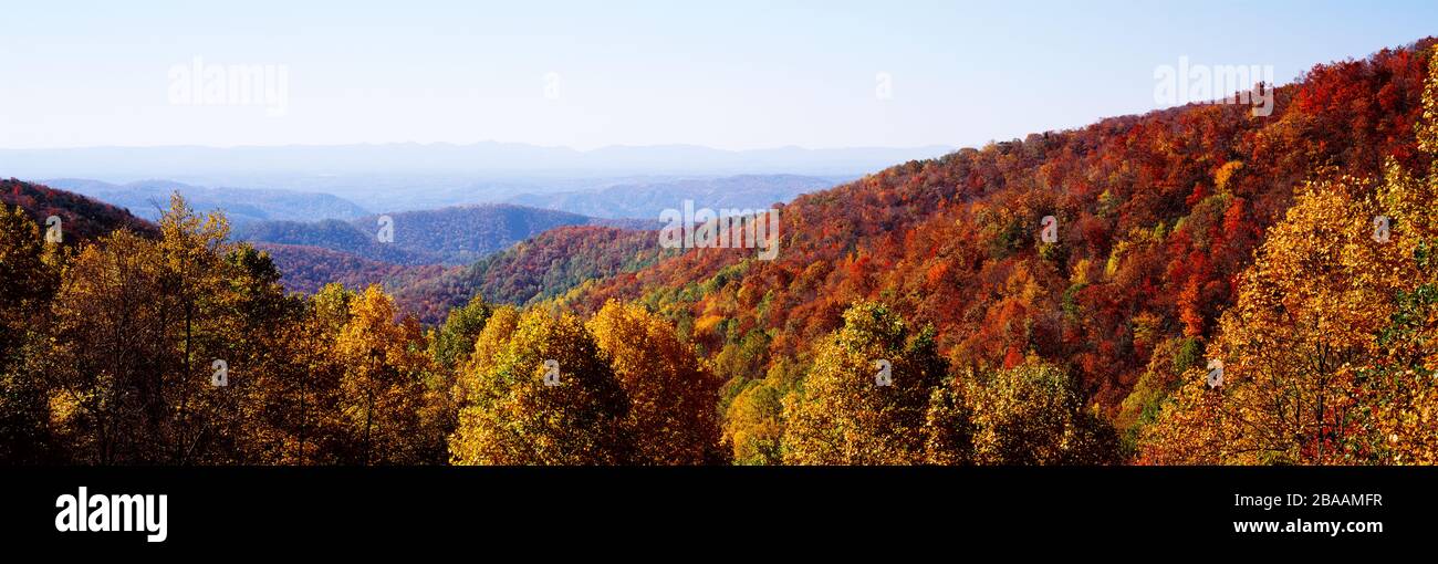 Vue panoramique sur la région vallonnée couverte par la forêt, Blue Ridge Parkway, Caroline du Nord, États-Unis Banque D'Images