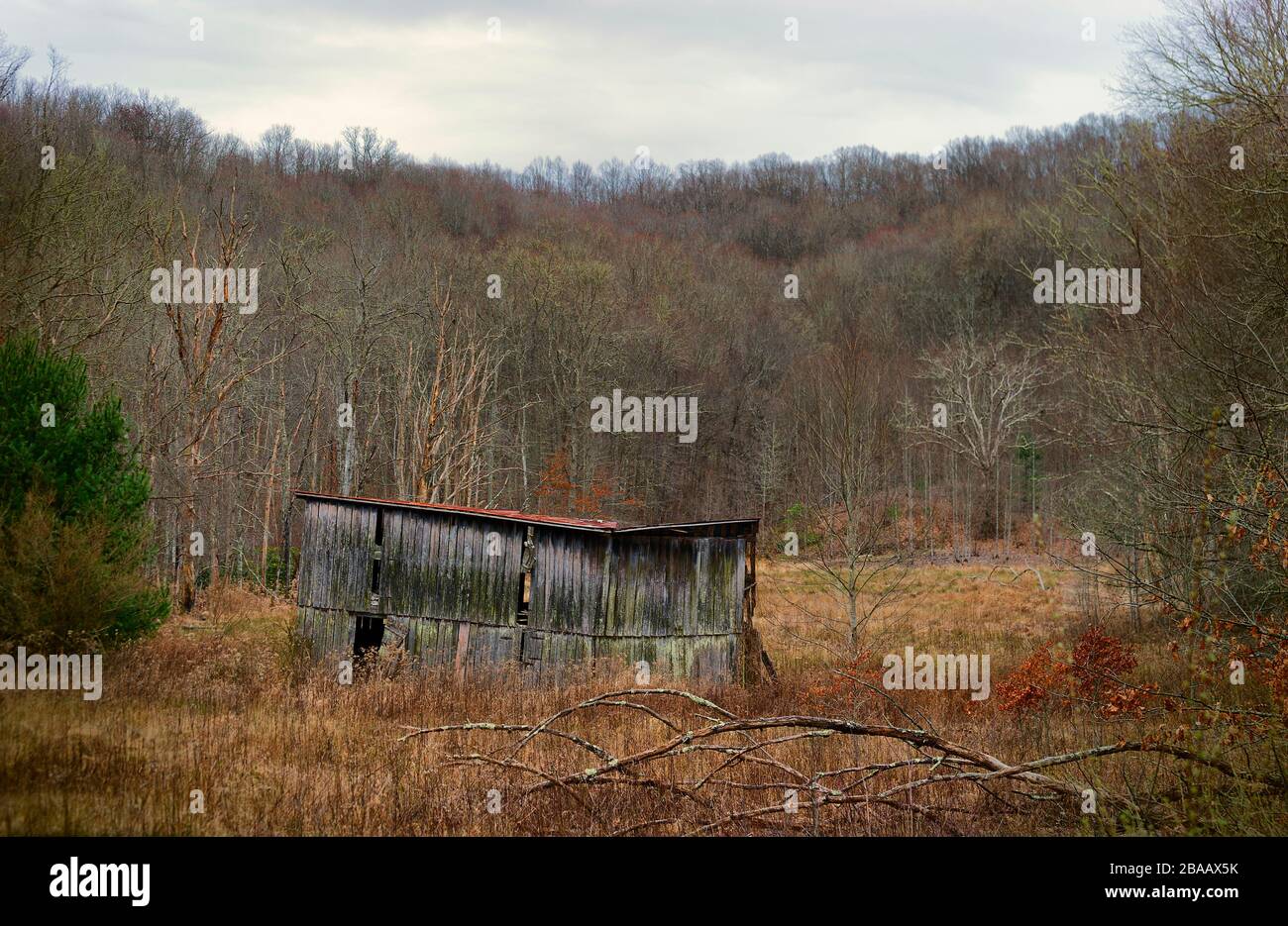 La structure abandonnée a laissé à la nature dans un cadre rural de campagne en Virginie, aux États-Unis Banque D'Images