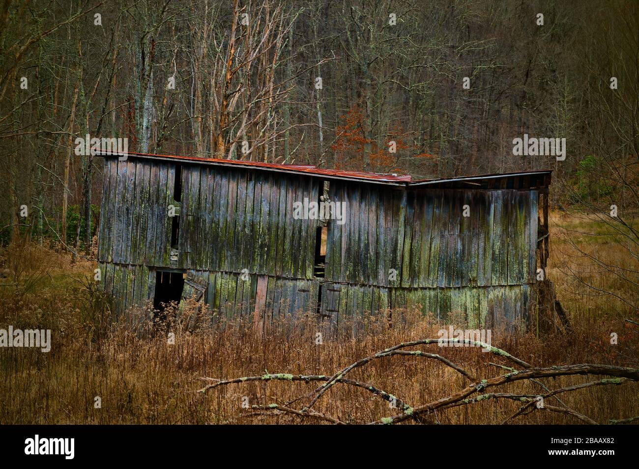 La structure en décomposition abandondée est restée à la nature dans un cadre rural côté pays en Virginie, aux États-Unis Banque D'Images