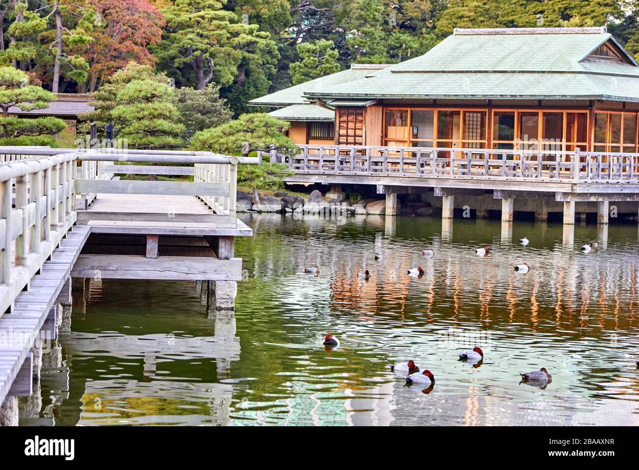 Maison de thé japonaise sur le bord du lac Banque D'Images