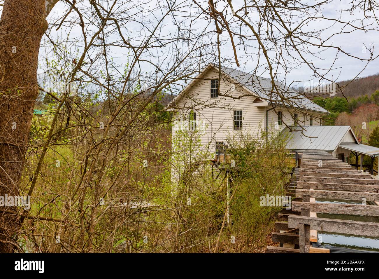 Abingdon, Virginie, États-Unis - 23 mars 2020: Le White Mill est le dernier en son genre dans le comté de Wahington, en Virginie. Selon un panneau à l'intérieur du bâtiment Banque D'Images
