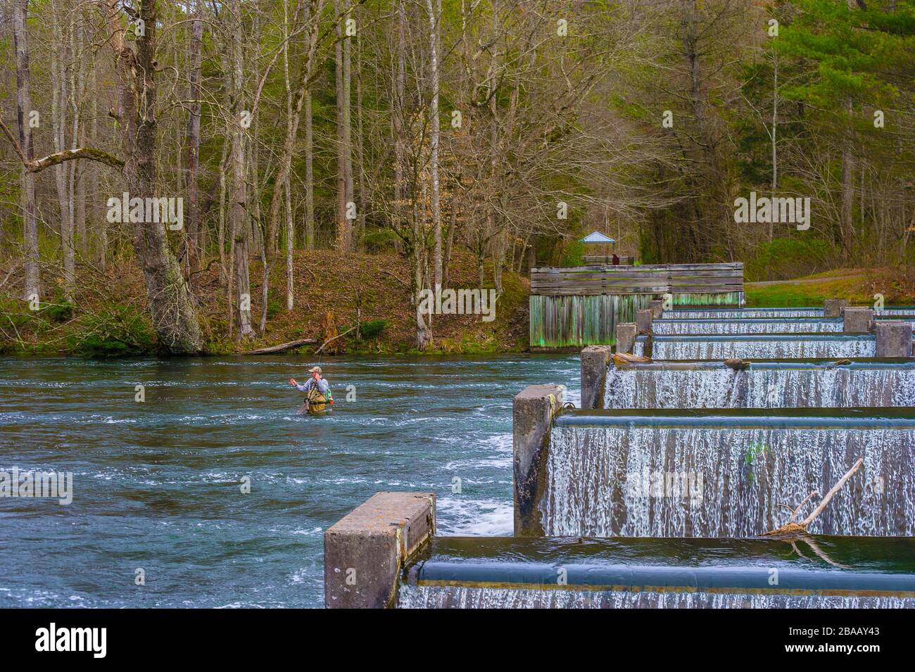 Bristol, Tennessee, États-Unis - 23 mars 2020: Un pêcheur de la Weir barrages qui ont été construits sous le barrage de South Holston pour ajouter de l'oxygène à la rivière à susta Banque D'Images
