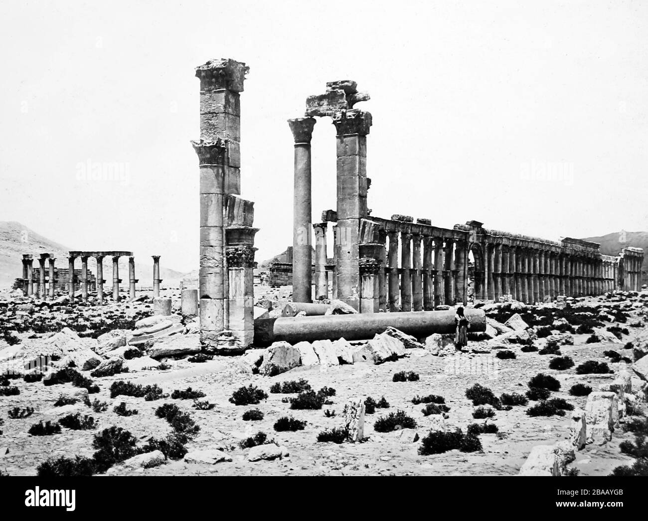 Palmyra Temple site, Syrie, époque victorienne Banque D'Images