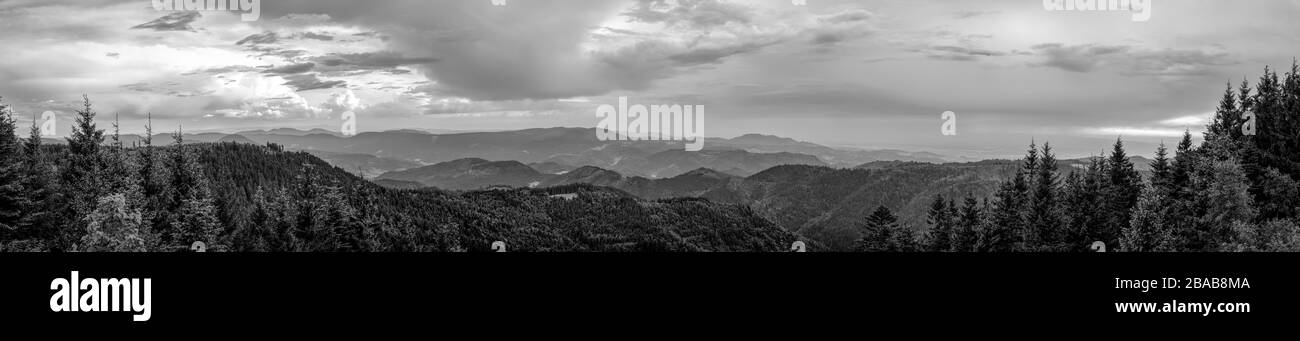 Vue sur la région de la Forêt Noire en regardant le Sud, la Forêt Noire, le Bade-Wurtemberg, Allemagne Banque D'Images
