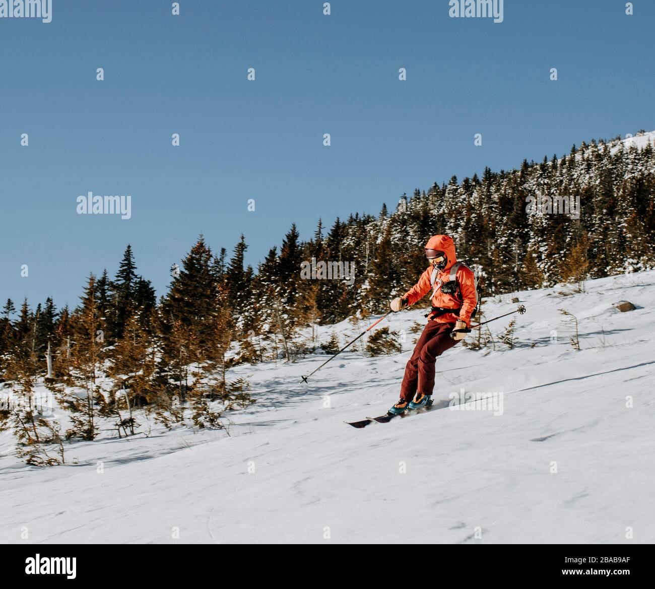 Femme en skis rouges sur Baldface Mountain, NH, un matin froid. Banque D'Images