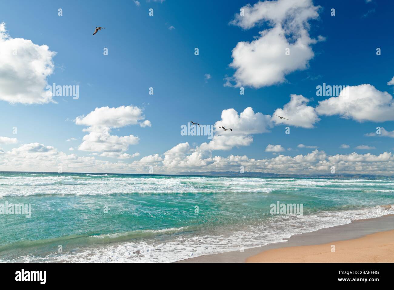 Scène de plage. Magnifique océan turquoise, ciel nuageux, et troupeau d'oiseaux volants Banque D'Images