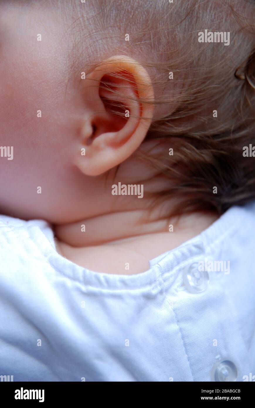 Oreille de bébé avec poils fins macro Banque D'Images