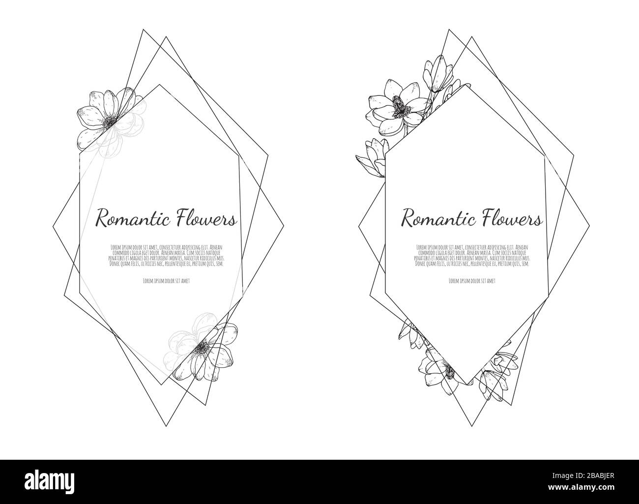 Illustrations botaniques dessinées à la main. Modèle floristique dessiné à la main, cadre avec fleurs délicates, branches, plantes. Illustration de Vecteur