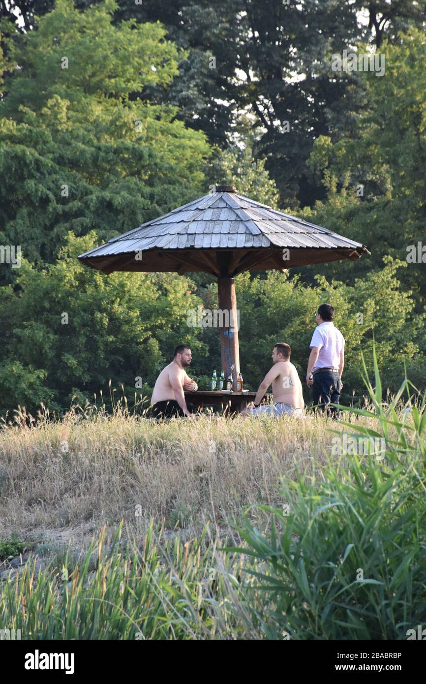 Banc en bois avec table et toit dans un environnement naturel. Trois hommes aiment la nature Banque D'Images