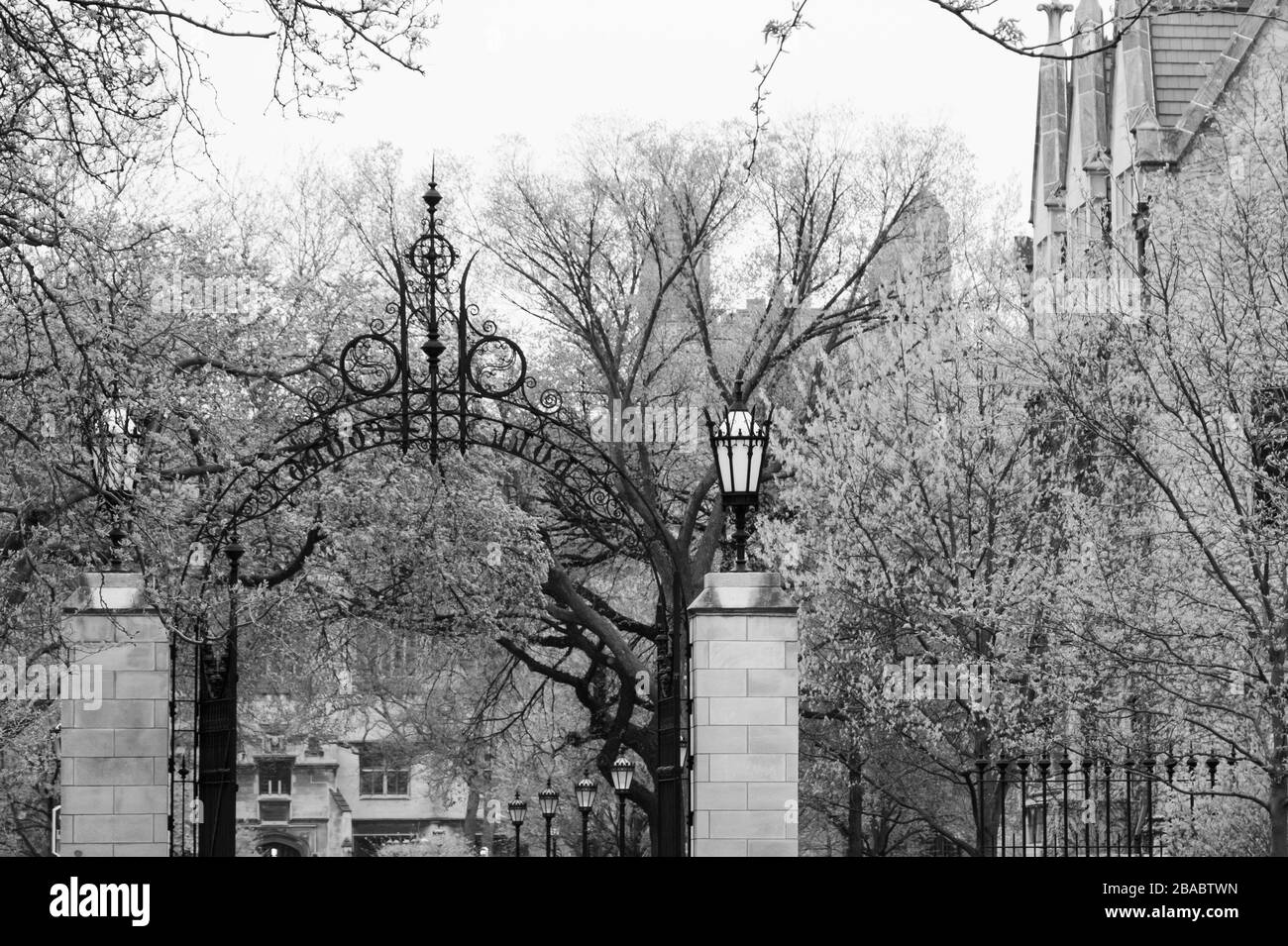 Vue sur les arbres gelés et entrée avec arc à Hyde Park, Chicago, Illinois, États-Unis Banque D'Images