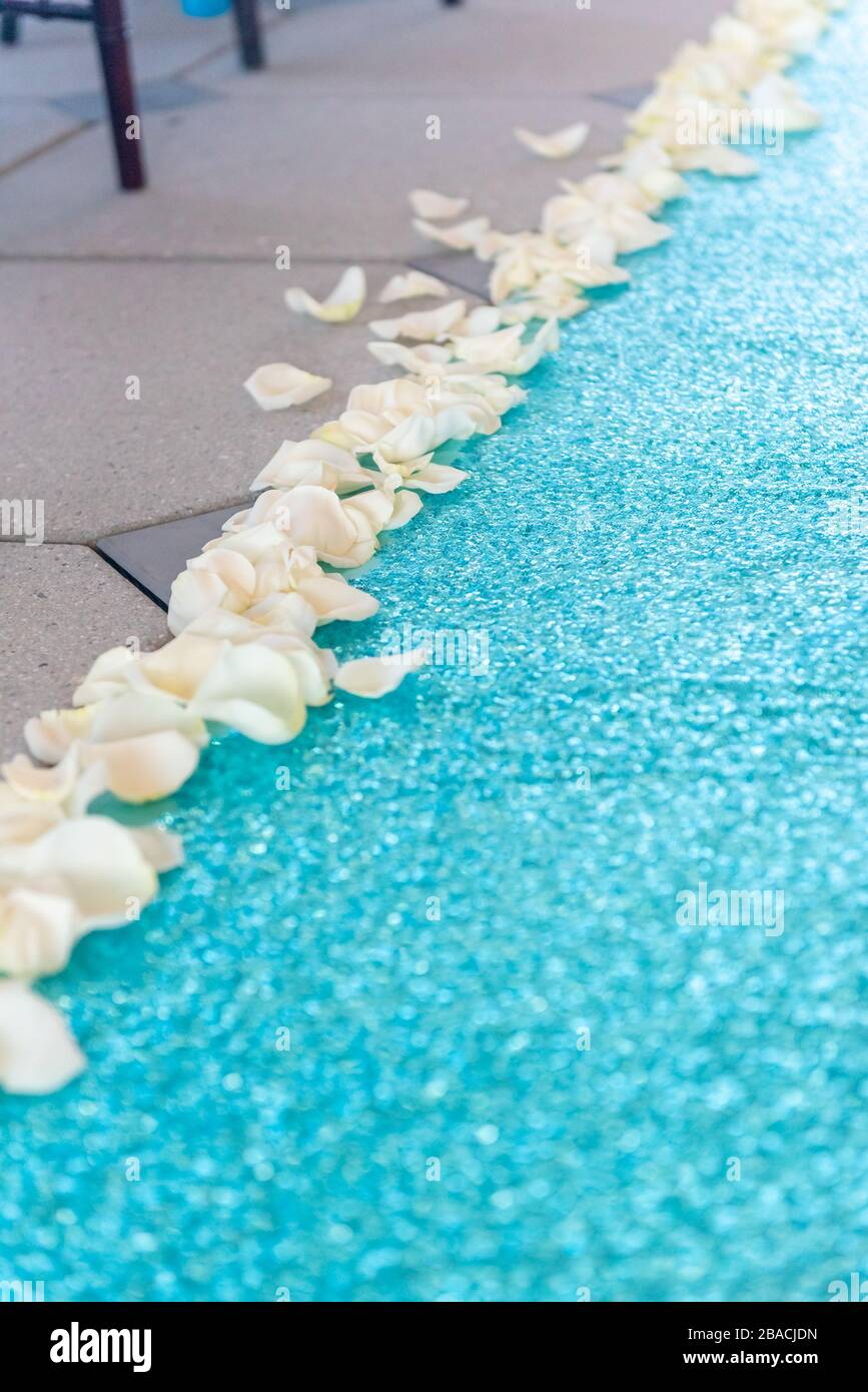 Photo verticale d'une magnifique allée de mariage bleue décorée avec pétales de fleurs blanches sur le bord Banque D'Images