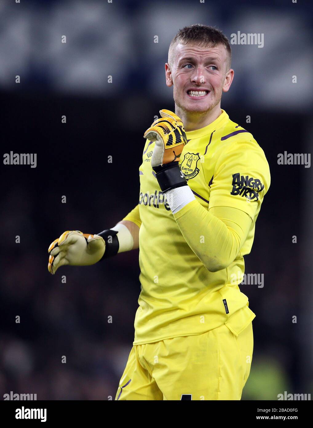 jordan-pickford-banque-de-photographies-et-d-images-haute-r-solution