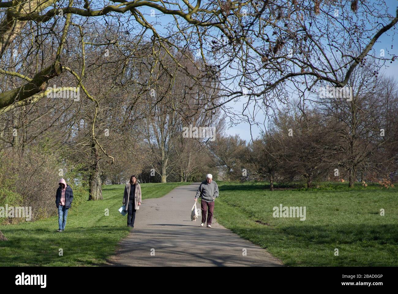 Londres, Royaume-Uni. 26 mars 2020. La photo prise le 26 mars 2020 montre des gens marchant à Primrose Hill à Londres, en Grande-Bretagne. Le gouvernement britannique a déclaré jeudi que le nombre de cas confirmés de COVID-19 dans le pays était passé à 11 658, les décès d'une journée ayant atteint 100 pour la première fois depuis l'apparition de la maladie. Crédit: Han Yan/Xinhua/Alay Live News Banque D'Images