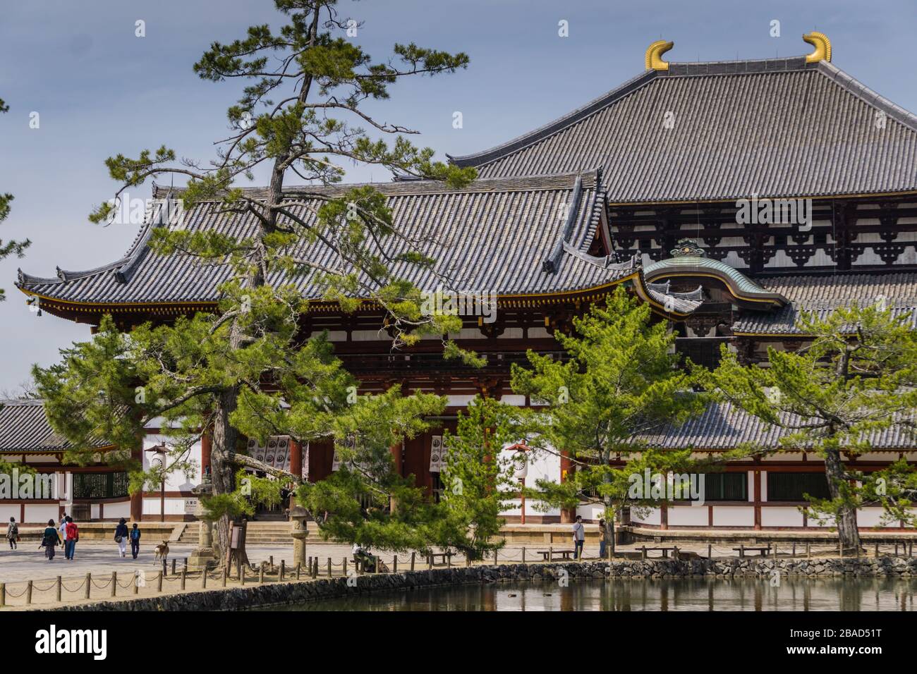 Vue sur le temple Todaiji à Nara, Japon montrant peu de touristes. Pris pendant le ralentissement du tourisme en raison de la pandémie COVID-19. Banque D'Images