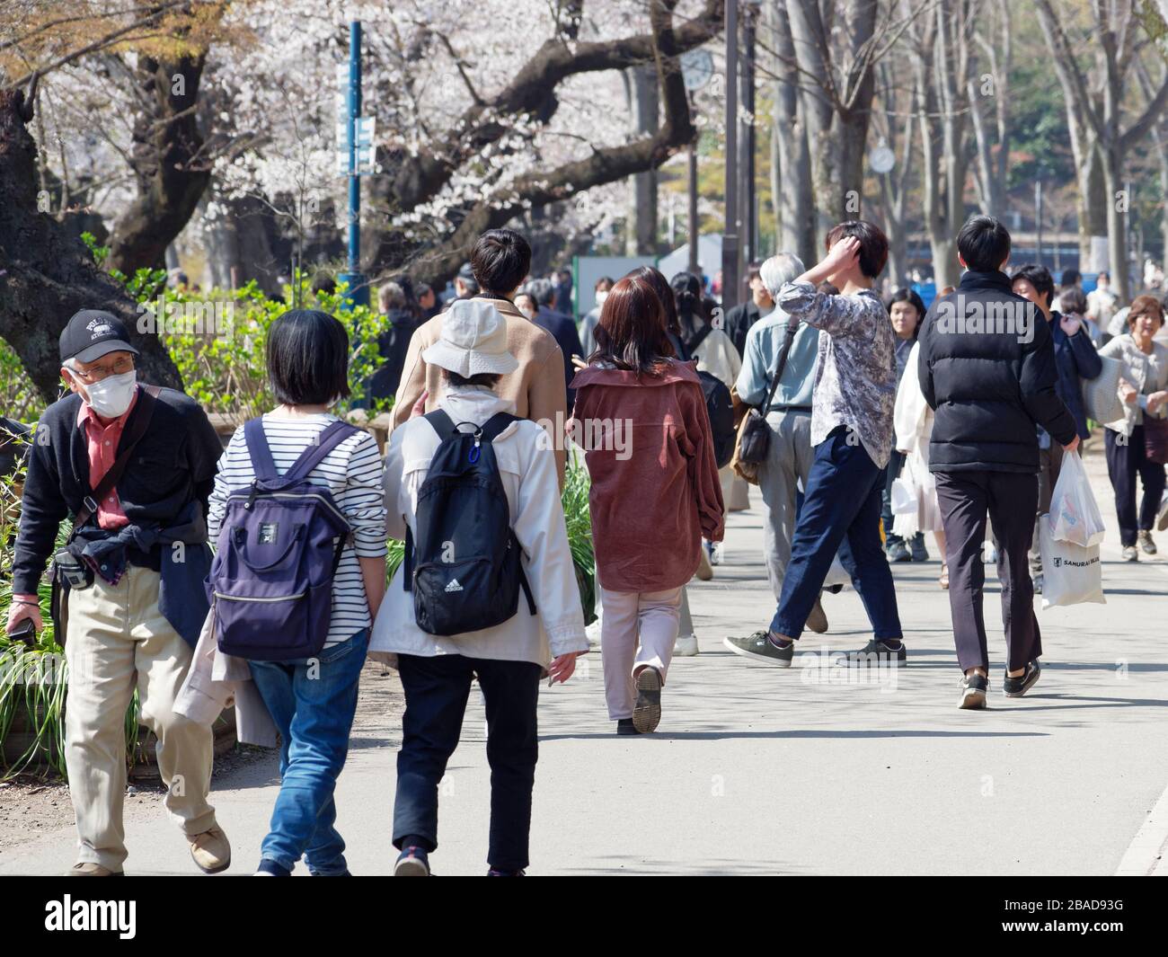 Les gens qui profitent de la floraison des cerisiers à Tokyo, malgré les restrictions du Coronavirus. Banque D'Images