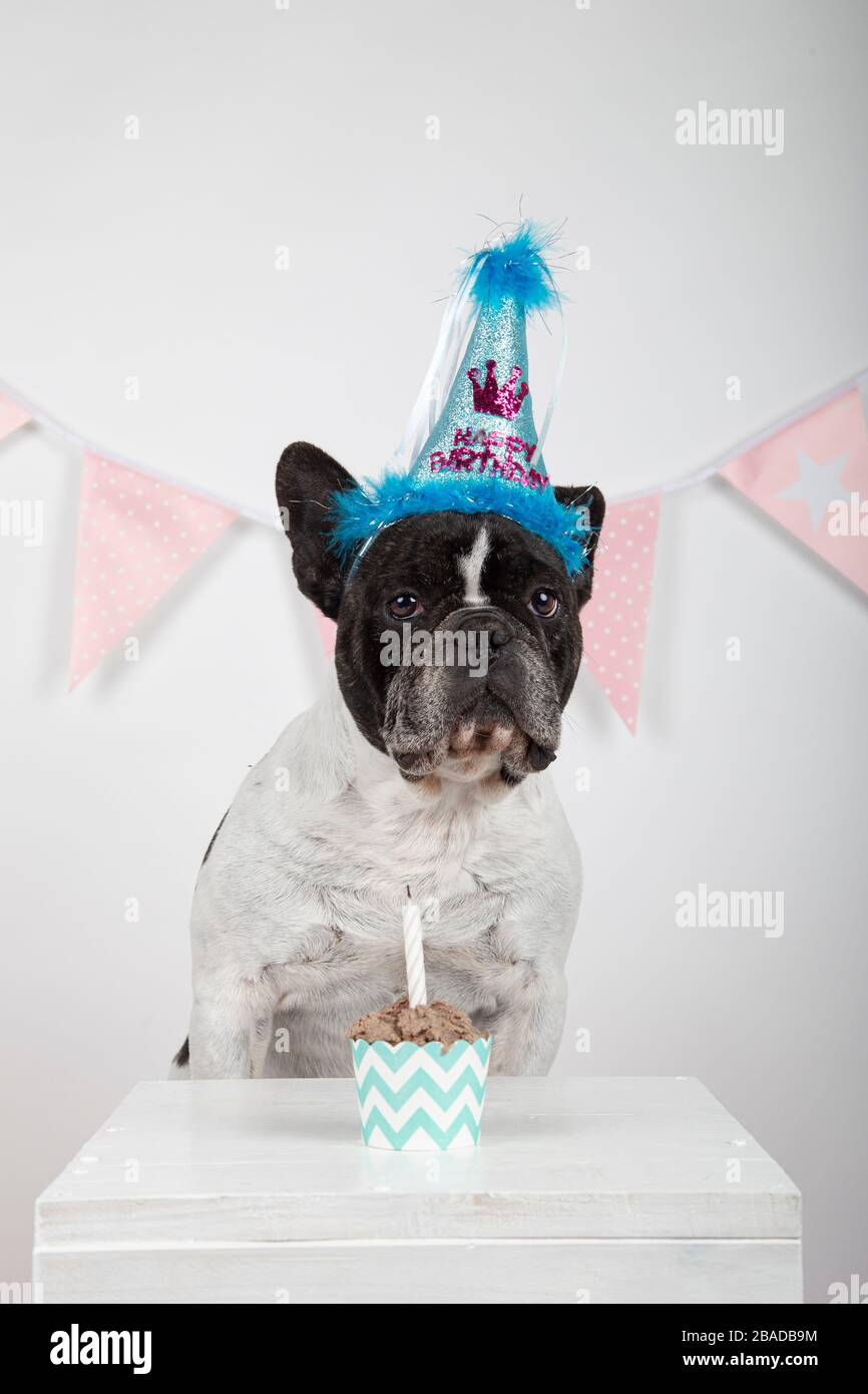 Carte D Anniversaire Francaise Banque D Image Et Photos Alamy Carte D Anniversaire Francaise Banque D Image Et Photos Alamy