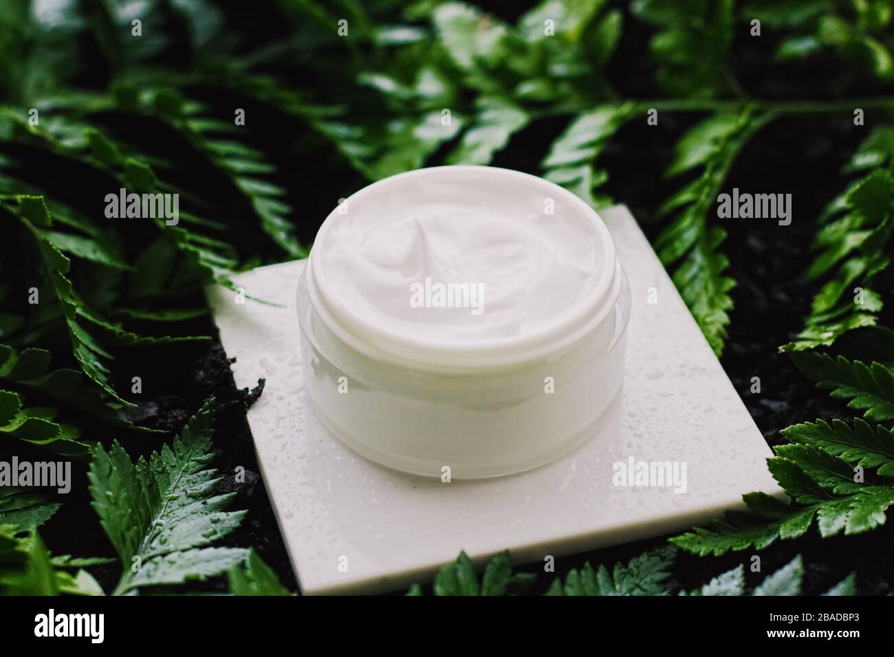 Pot hydratant crème visage dans un jardin vert, cosmétiques naturels à base  de plantes et produits biologiques anti-âge pour la marque de santé et de  beauté Photo Stock - Alamy