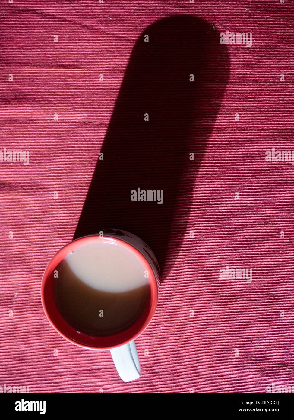 Vue du dessus d'une tasse de thé chaude Banque D'Images