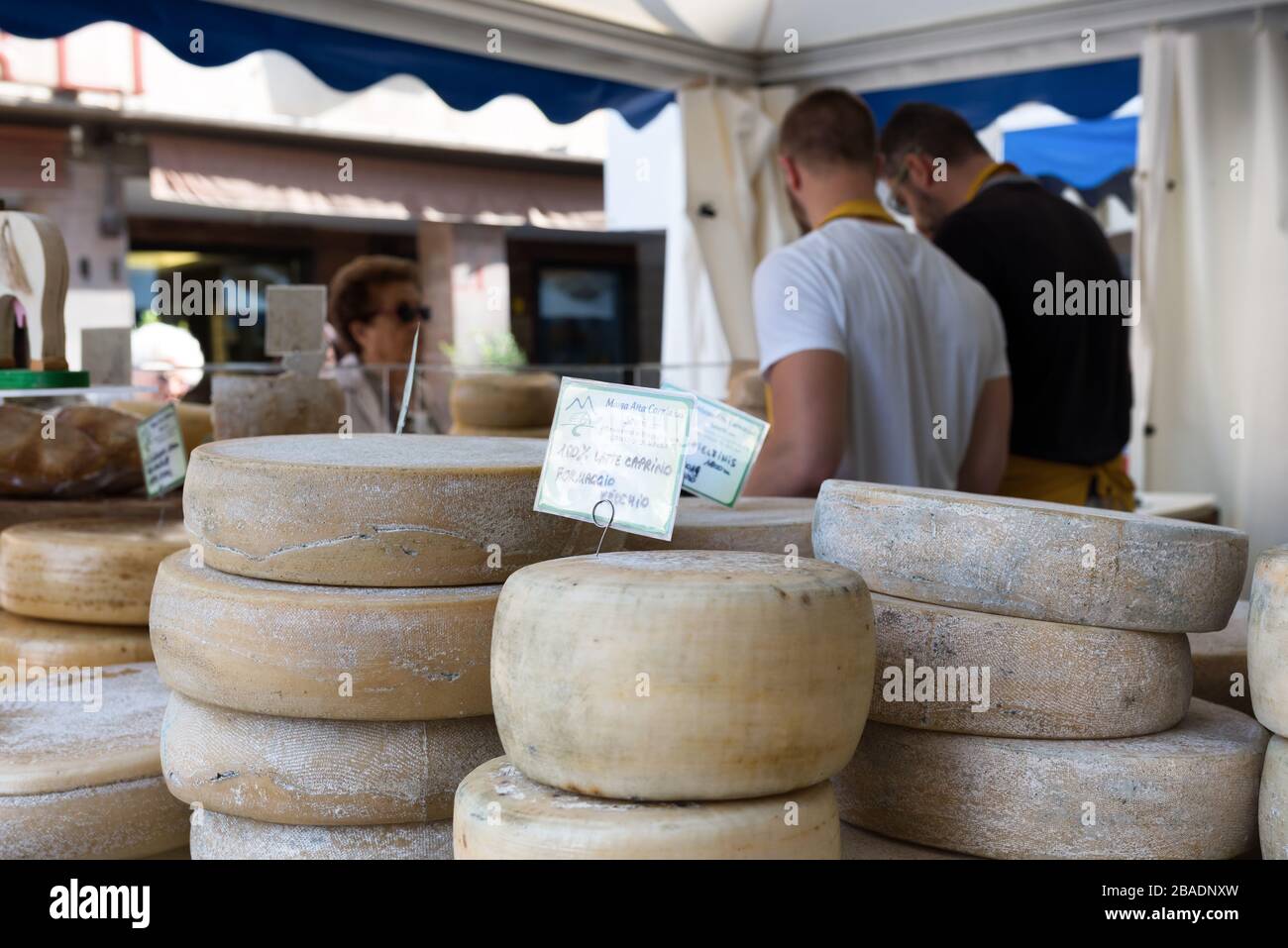 Roues à fromage à vendre sur un marché italien en plein air. Concept de fromage italien. Udine, Friuli Venezia Giulia, Italie Banque D'Images