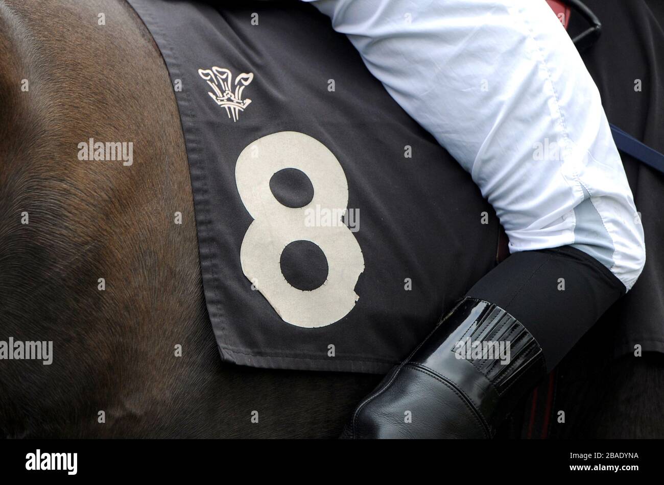 Le détail d'un jockey s'est assis sur leur parcours aux courses de Lingfield Banque D'Images