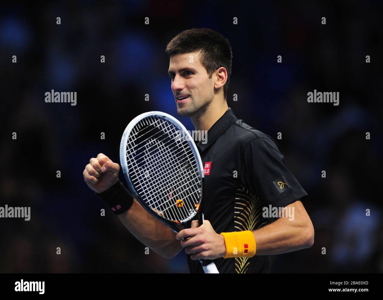 Le Novak Djokovic de Serbie célèbre la défaite de Juan Martin Del Potro en Argentine Banque D'Images