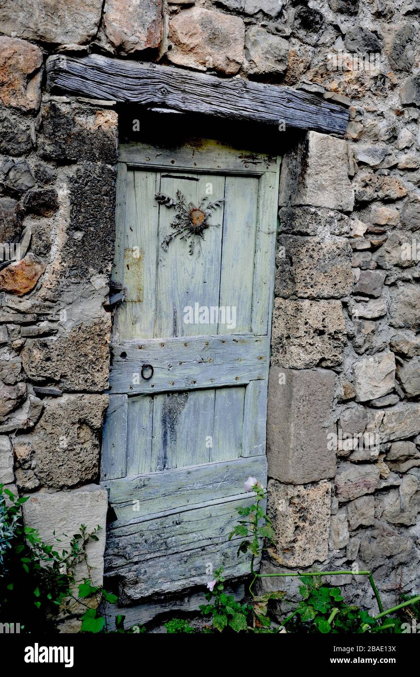 Ancienne porte de ferme en bois en France avec une fleur séchée de type chardon clouée à porte. Banque D'Images