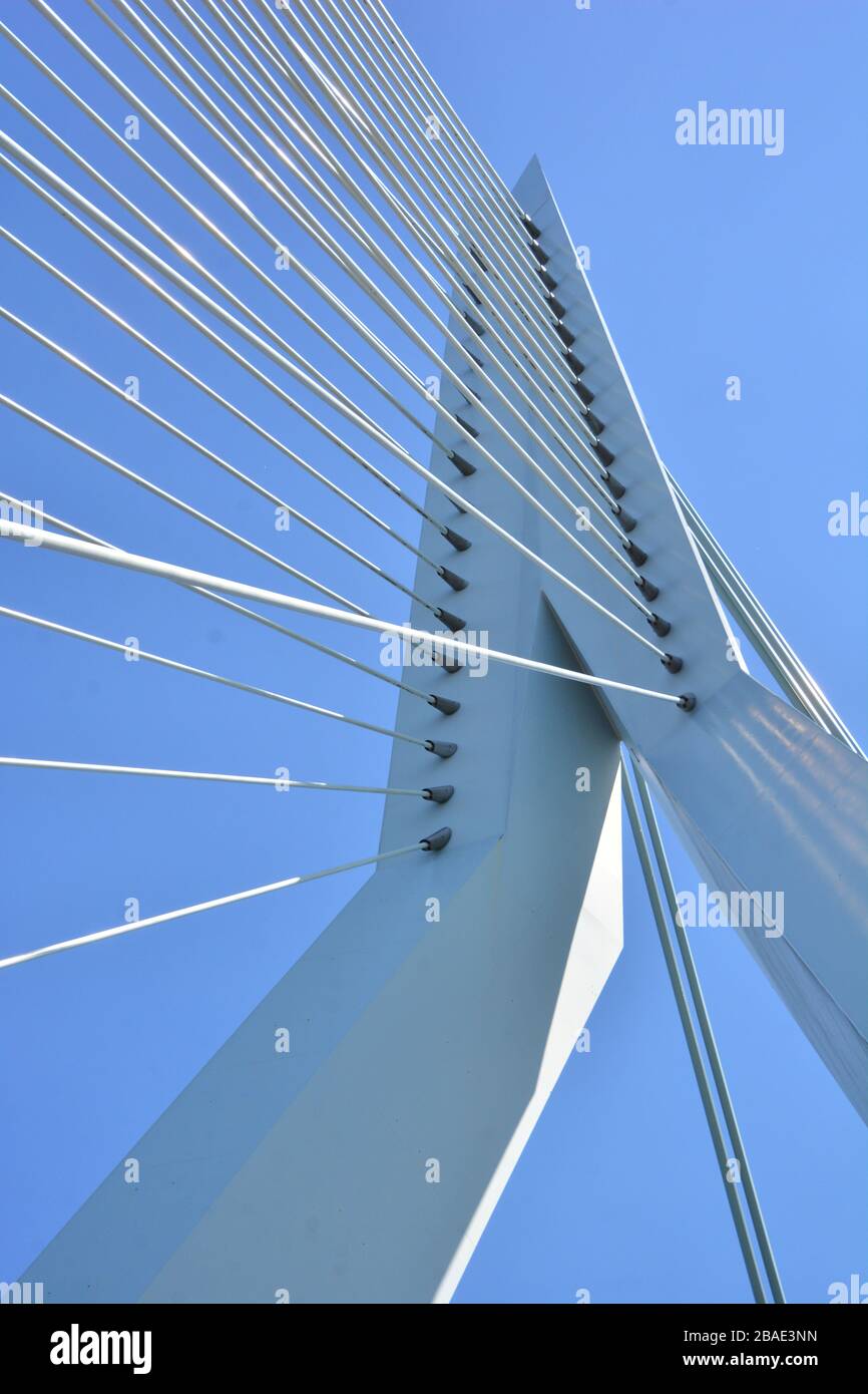 Rotterdam, Pays-Bas - juin 2019 ; vue rapprochée de l'emblématique bassicule Erasmus musbrug de Rotterdam avec une vue spectaculaire sur le pylon et le c Banque D'Images