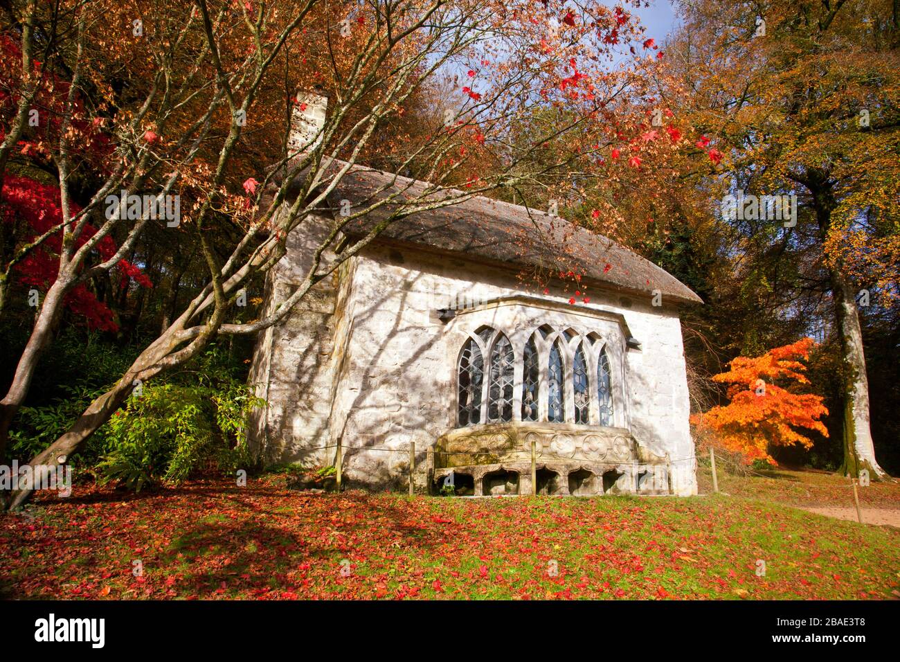 Couleur d'automne sur un arbre acer à l'extérieur du cottage gothique en chaume à Stourhead Gardens, Wiltshire, Angleterre, Royaume-Uni Banque D'Images