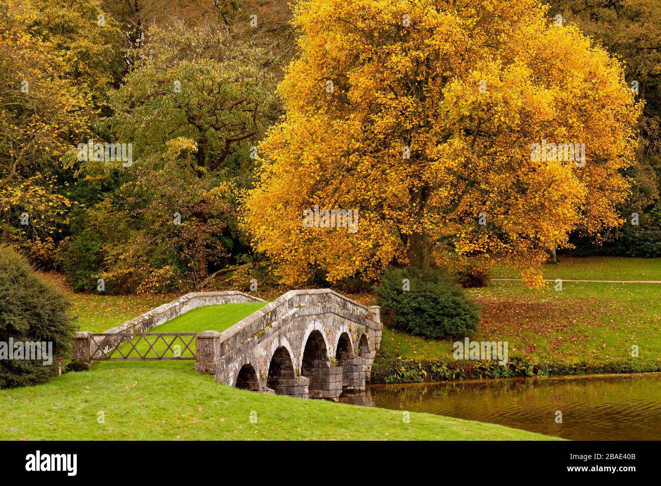 Couleur d'automne autour du pont palladien à Stourhead Gardens, Wiltshire, Angleterre, Royaume-Uni Banque D'Images