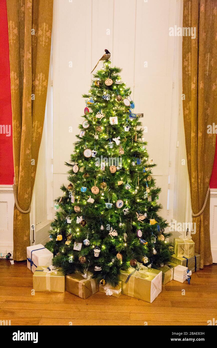 Un arbre de Noël joliment décoré entouré de cadeaux soigneusement enveloppés à l'intérieur de la maison Stourhead à Noël, Wiltshire, Angleterre, Royaume-Uni Banque D'Images