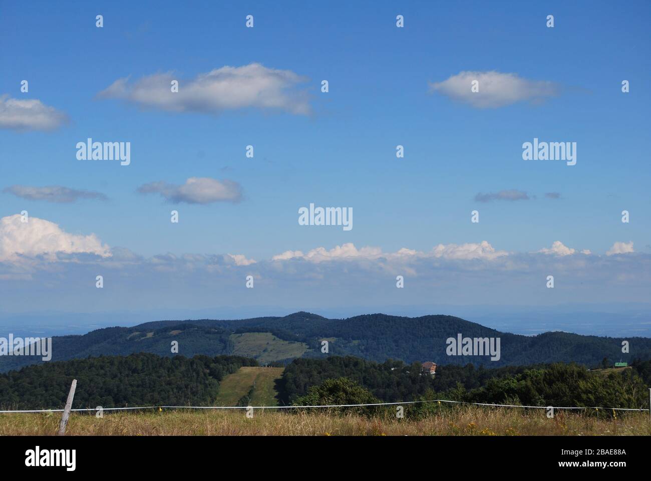 Vue sur le paysage du Ballon d'Alsace, Grand Balloon, sommet / sommet dans les Vosges, Haut-Rhin en France Banque D'Images