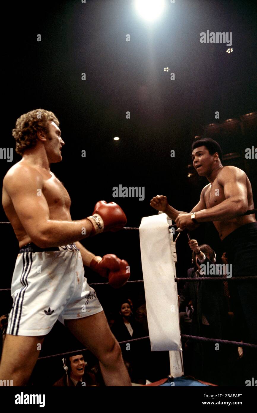 Muhammad Ali (r) se met en marche jusqu'aux cordes pour affronter Joe Bugner (l) Banque D'Images