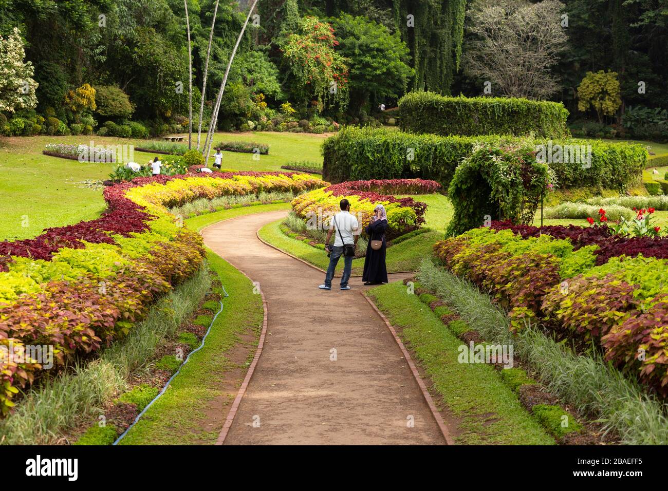 Chemin dans les jardins botaniques royaux près de Kandy, Sri Lanka Banque D'Images