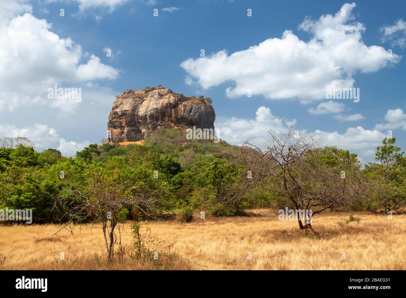 Vue sur Lion Rock à Sigiriya, Sri Lanka Banque D'Images