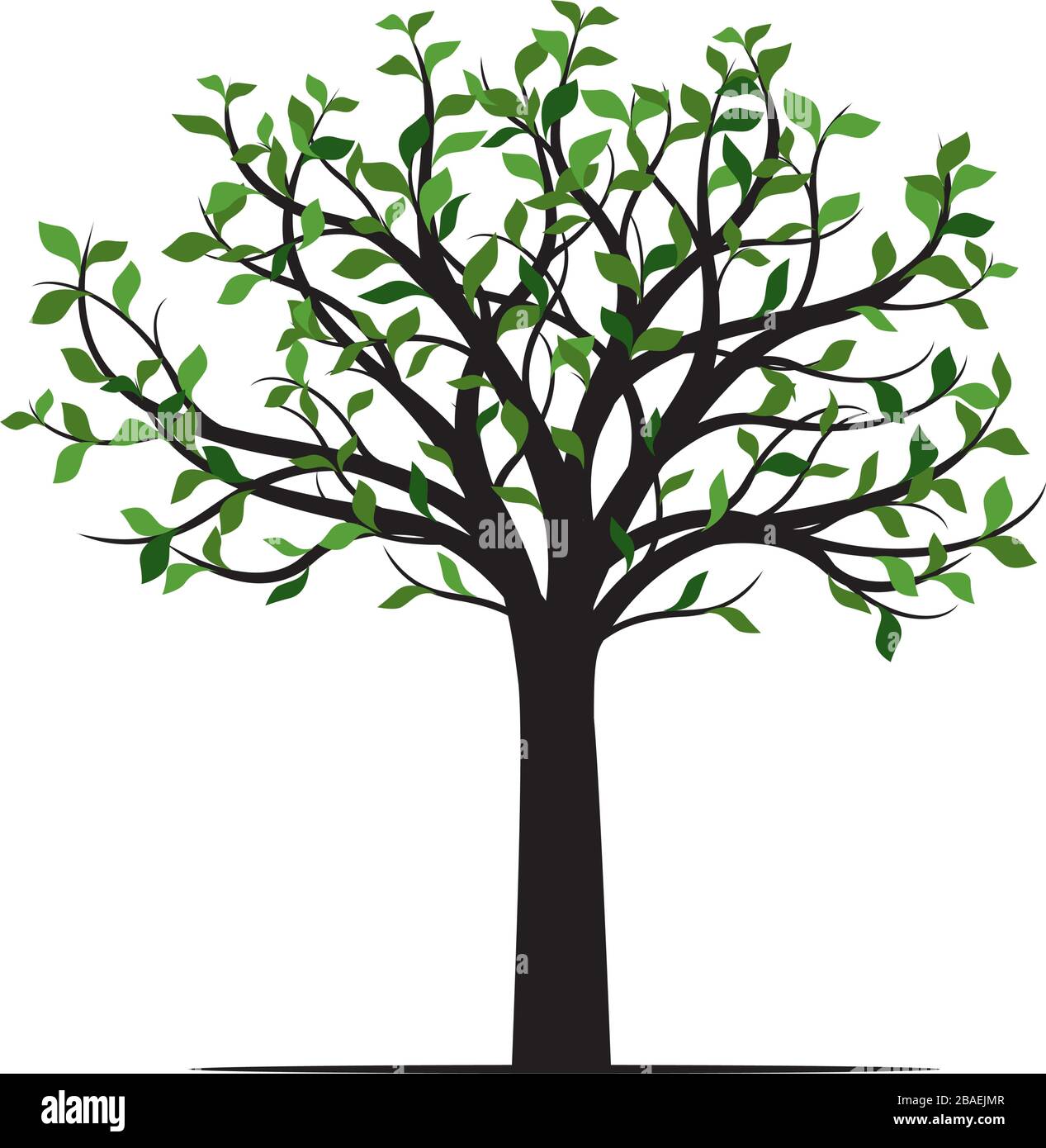 Arbre vert avec des feuilles. Contour Vector Illustration. Plante dans le jardin. Illustration de Vecteur