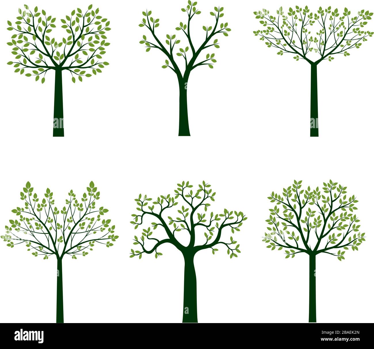 Ensemble d'arbres verts. Illustration vectorielle Illustration de Vecteur