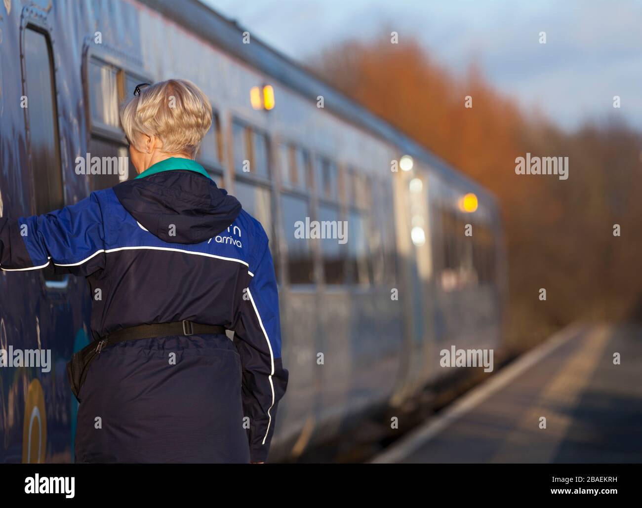 Arriva Garde ferroviaire du Nord / conducteur fermant les portes d'un train avant le départ de la gare de Morecambe Banque D'Images