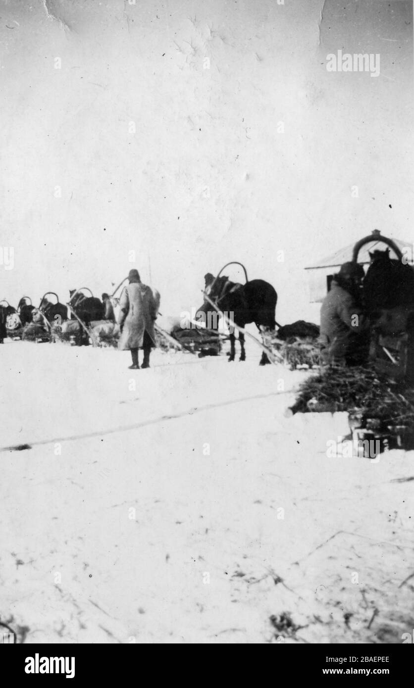 Deuxième Guerre mondiale / WWII photo historique sur l'invasion allemande - Waffen SS troopers en URSS (Biélorussie) - 1942 (région de Minsk) véhicule à neige Banque D'Images