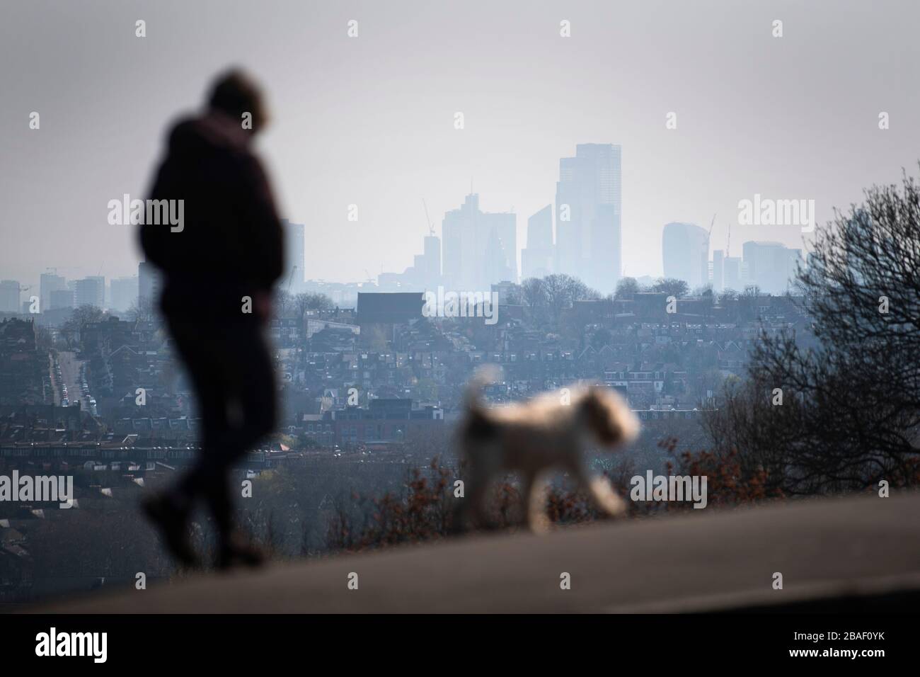 Un marcheur de chien à Alexandra Palace, dans le nord de Londres, alors que le Royaume-Uni continue de se verrouiller pour aider à freiner la propagation du virus. Banque D'Images