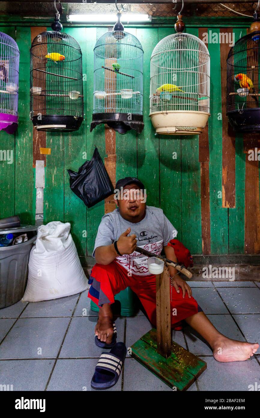 Un homme vendant des oiseaux au marché des oiseaux de Pramuka, Jakarta, Indonésie. Banque D'Images