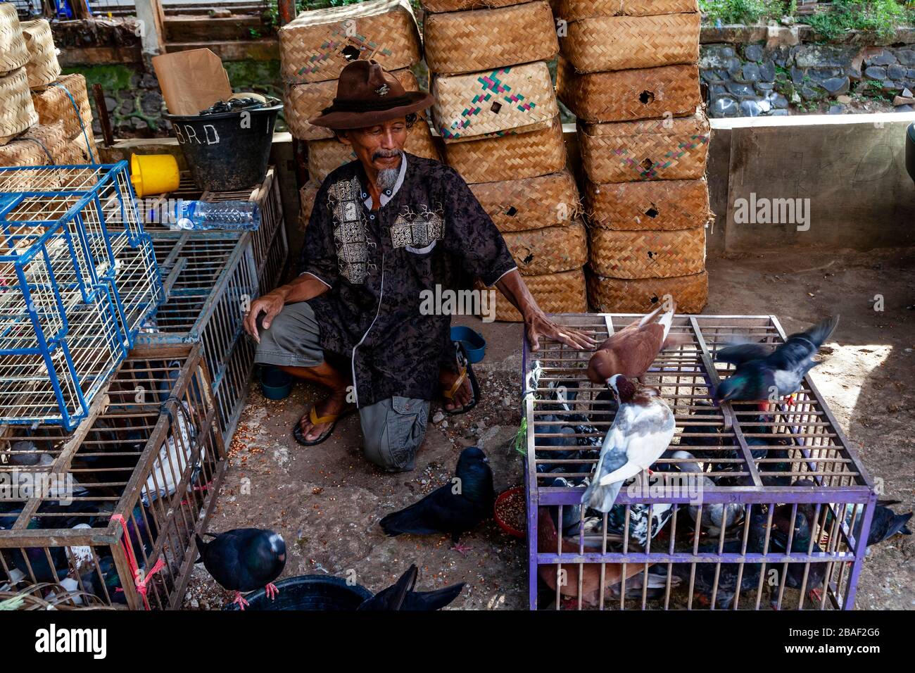 Un homme vendant des oiseaux au marché des oiseaux de Pramuka, Jakarta, Indonésie. Banque D'Images