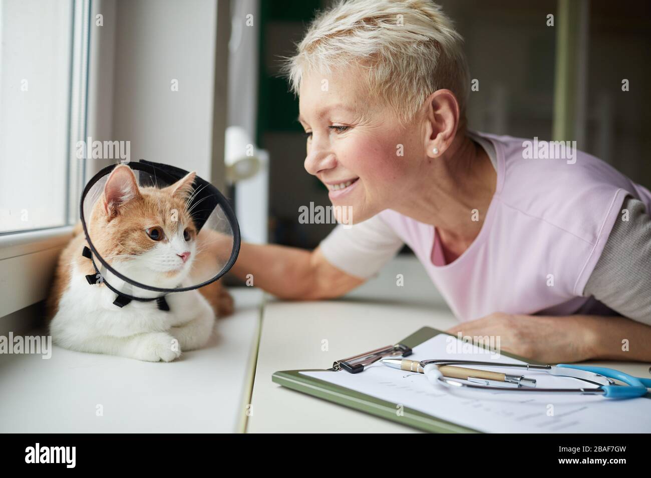 Femme mûre avec des cheveux blond courts souriant et touchant son chat alors qu'il est assis sur le seuil de fenêtre dans le col ils sont dans la clinique vétérinaire Banque D'Images