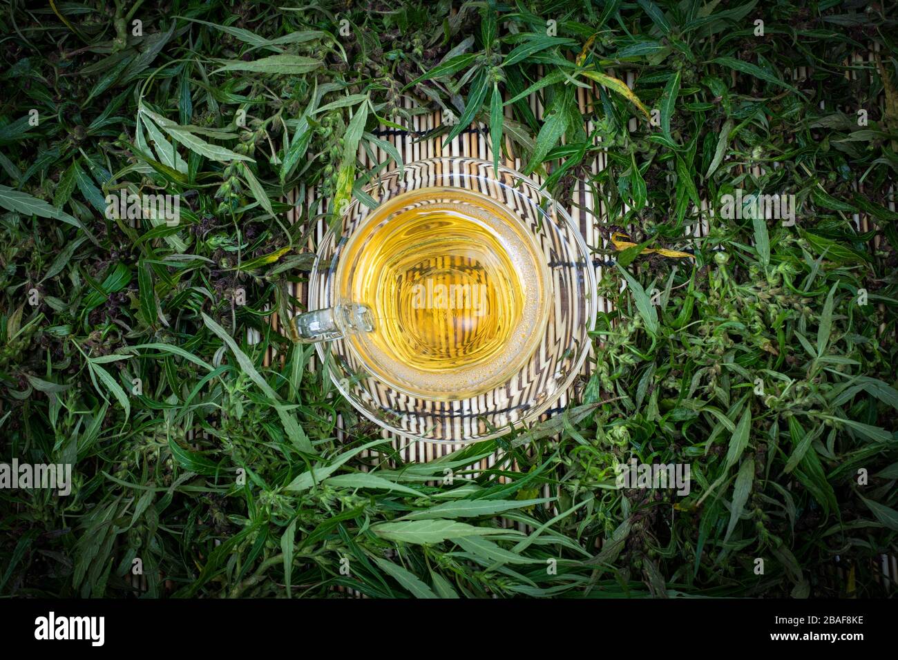Thé de cannabis dans une tasse de verre clair avec une feuille de marijuana verte et tige sur la table de bois au fond flou, fines herbes et le concept de boissons saines, haut Banque D'Images