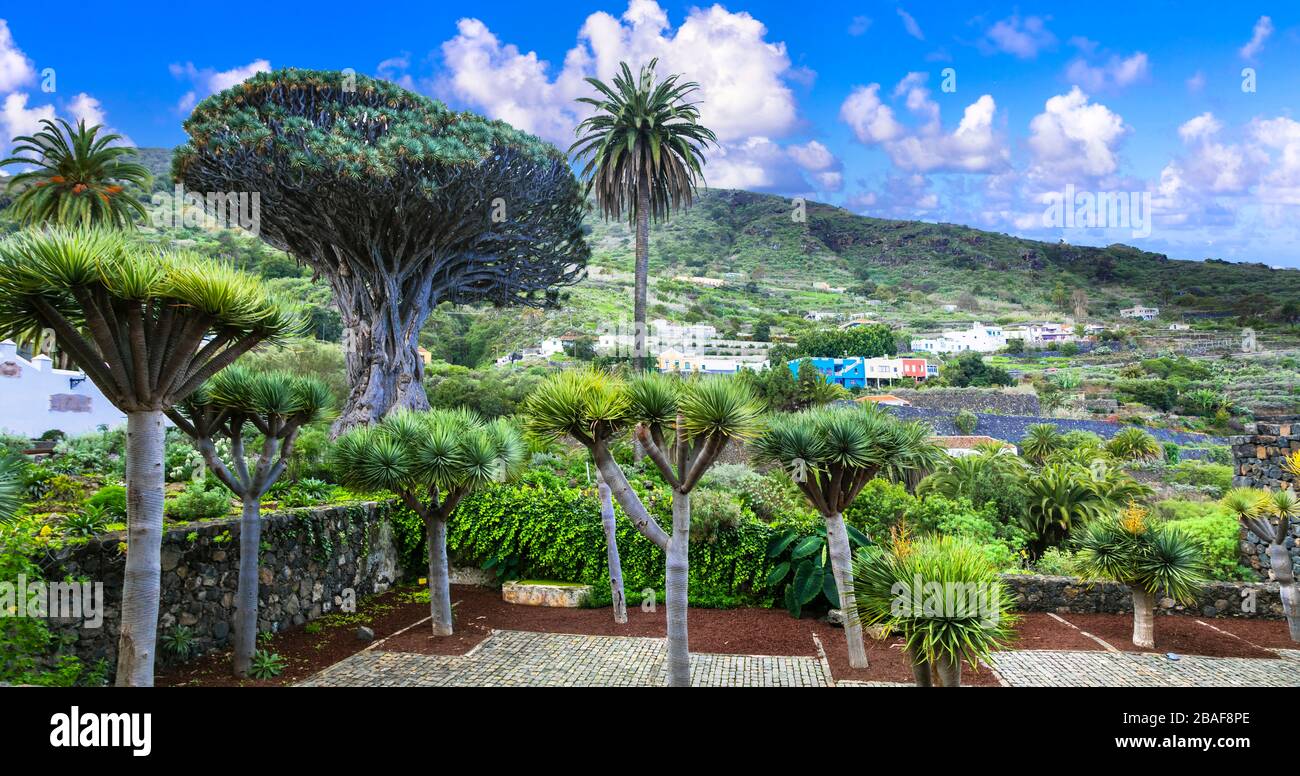 Paysage impressionnant de Tenerife, île des canaries, Espagne. Banque D'Images