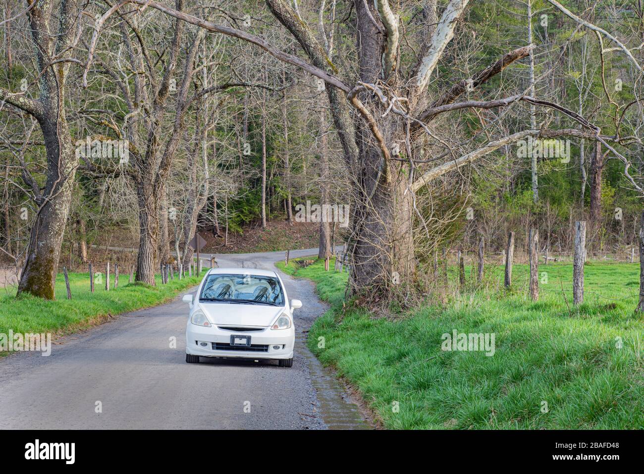 Tir horizontal d'une voiture assise sur une route de terre fourrée dans un parc national au printemps. Banque D'Images