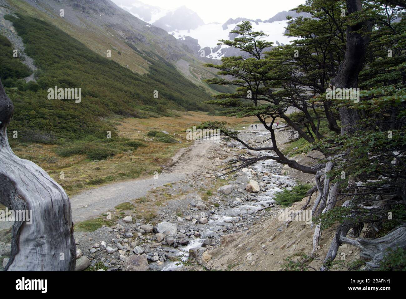 Cerro Martial en été, sans neige, ville d'Ushuaia, Terra del Fuego - Argentine. Banque D'Images