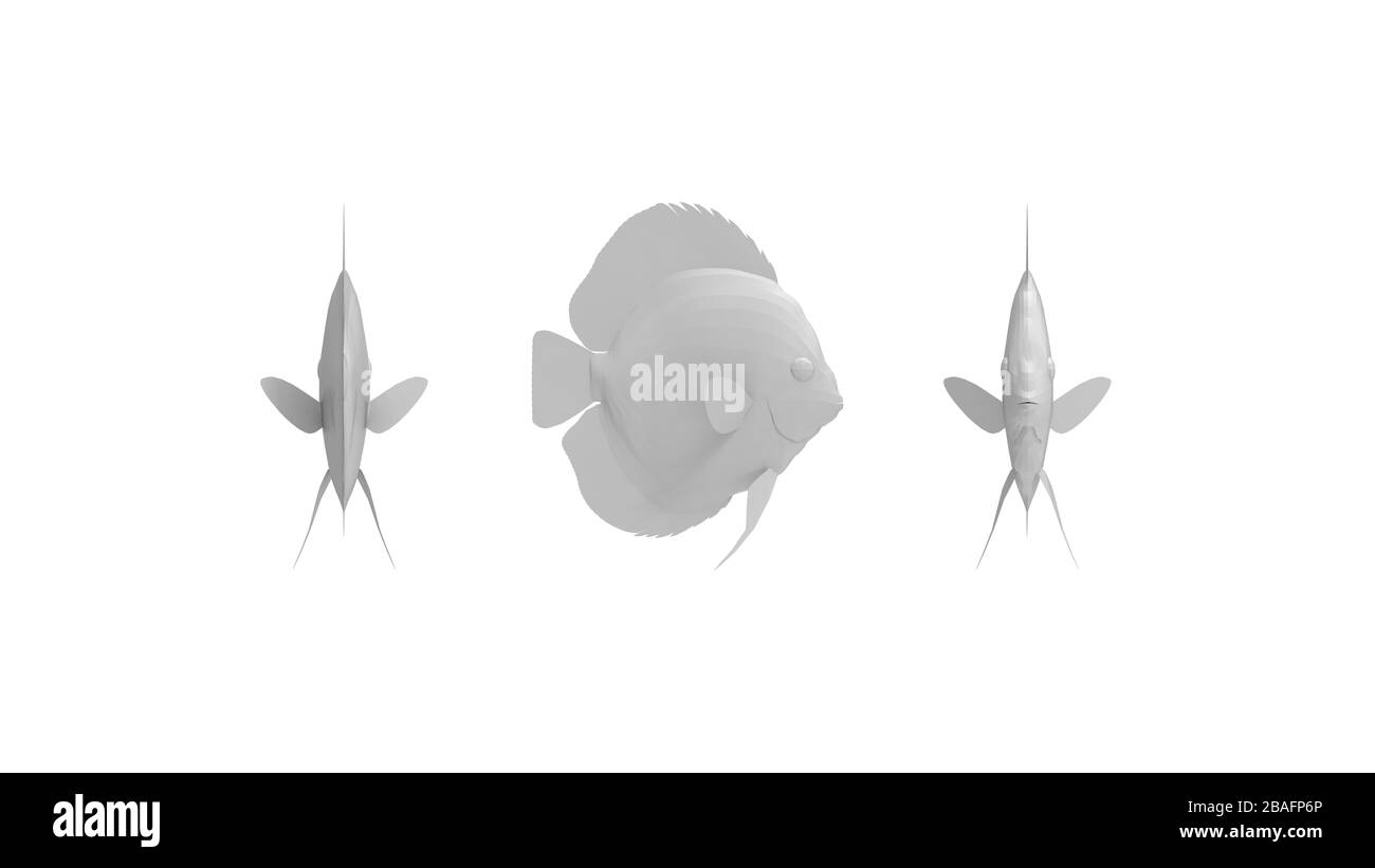 Rendu tridimensionnel d'un poisson tropical plat coloré isolé sur fond blanc Banque D'Images