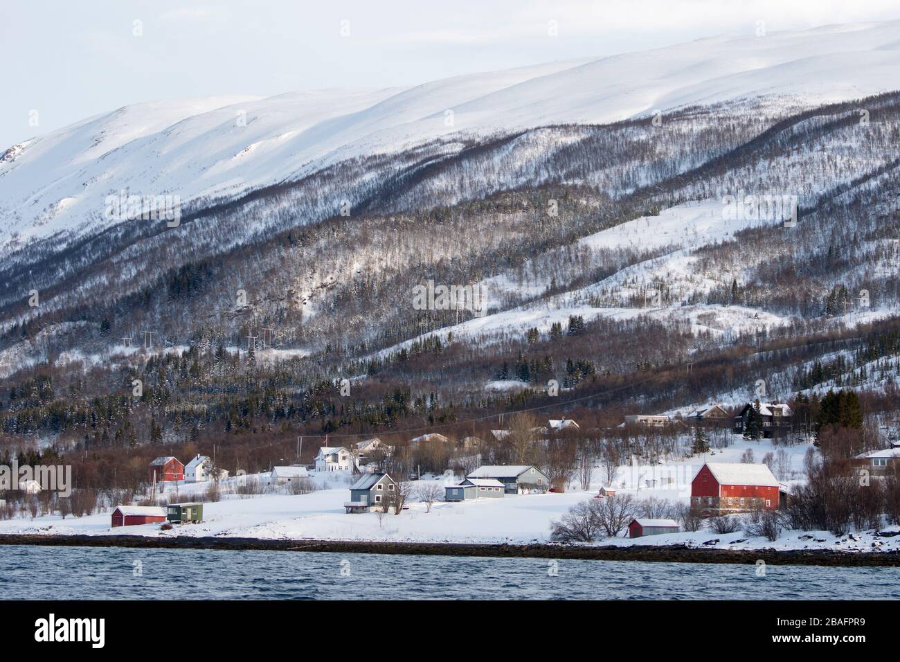 Vue sur les fermes et les maisons le long du rivage du fjord de Tromso, près de la ville de Tromso, dans le comté de Troms og Finnmark, en Norvège. Banque D'Images