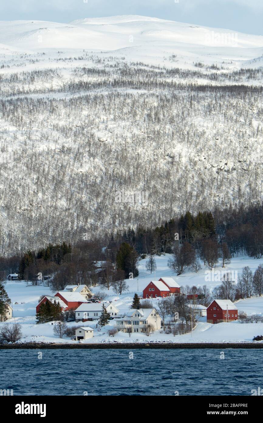 Vue sur les fermes et les maisons le long du rivage du fjord de Tromso, près de la ville de Tromso, dans le comté de Troms og Finnmark, en Norvège. Banque D'Images