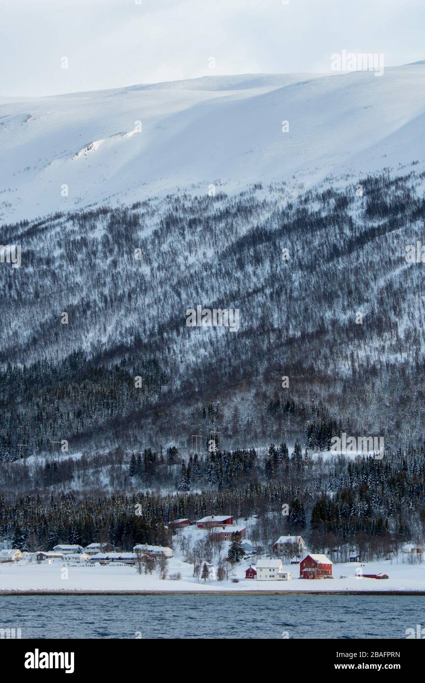 Vue sur les fermes et les maisons le long du rivage du fjord de Tromso, près de la ville de Tromso, dans le comté de Troms og Finnmark, en Norvège. Banque D'Images
